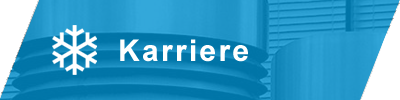 Karriere